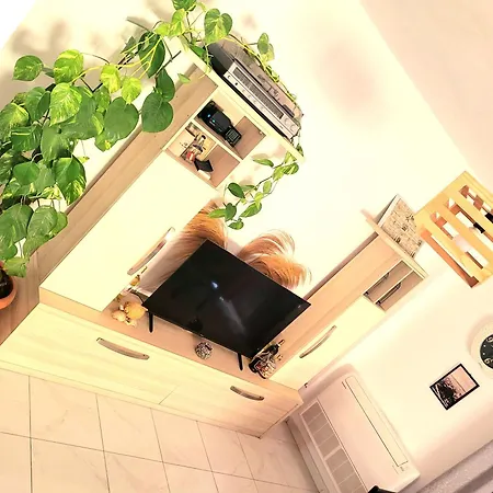 Apartment Appartament Klodi 6